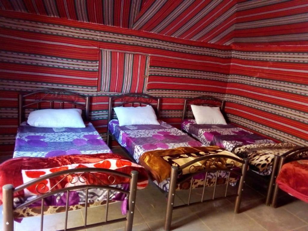 Wadi Rum Moon Camp Екстер'єр фото
