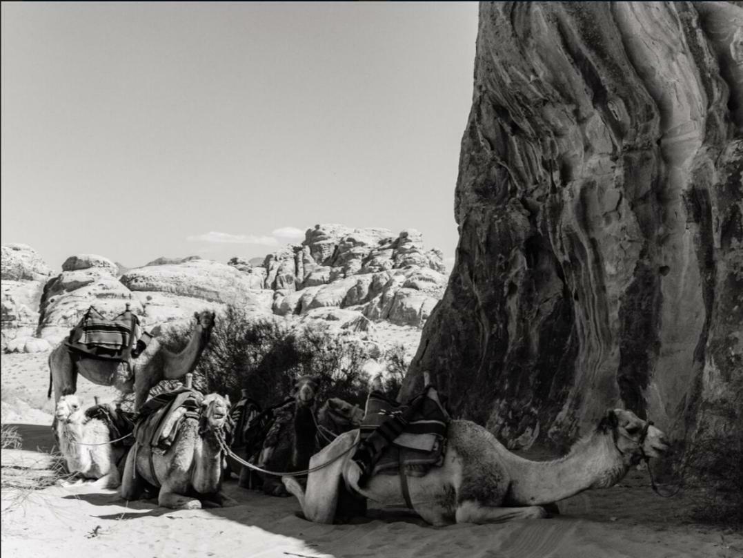 Wadi Rum Moon Camp Екстер'єр фото