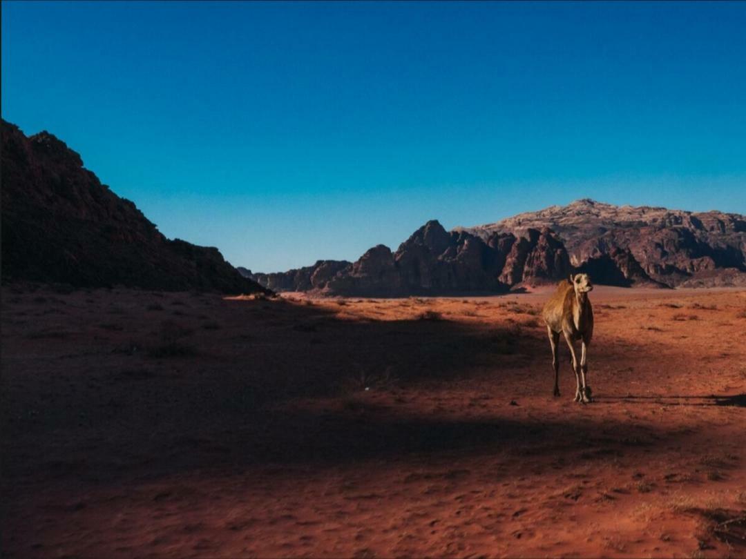 Wadi Rum Moon Camp Екстер'єр фото