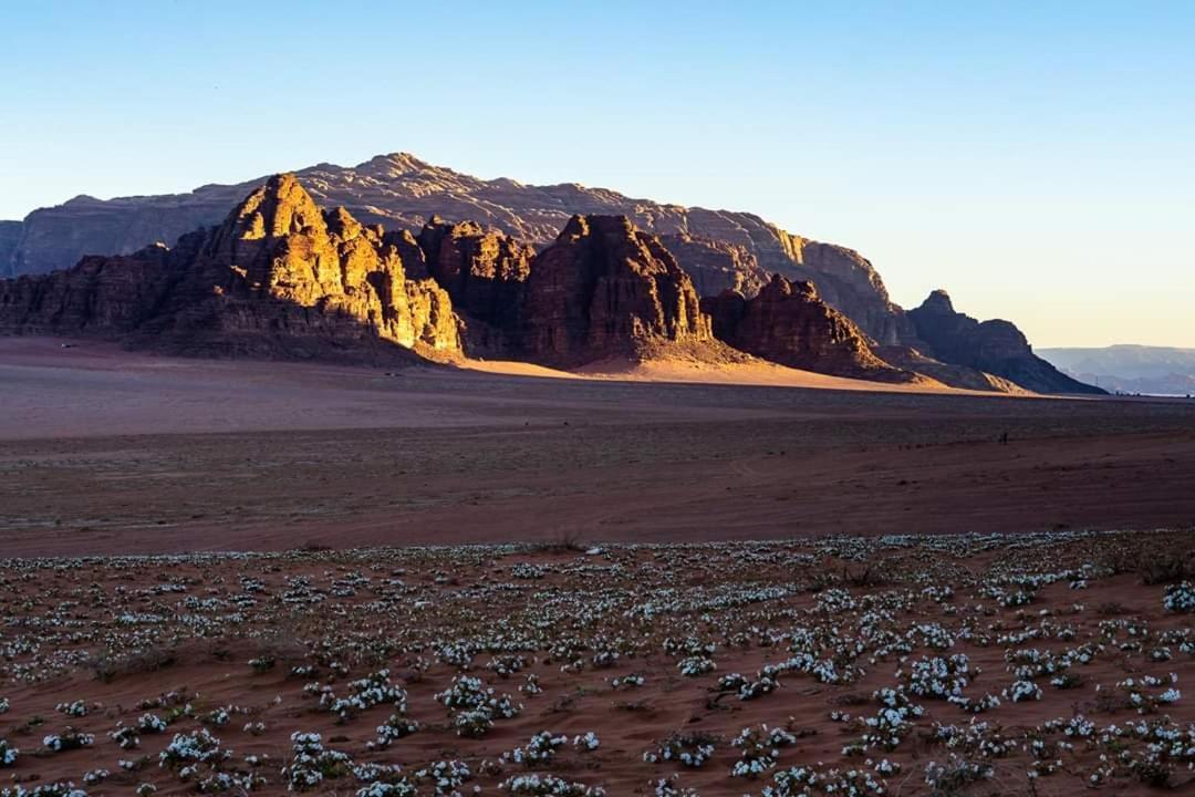 Wadi Rum Moon Camp Екстер'єр фото